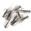 10pcs Lure Artificial Lure With Hook; Small Gray Fish Simulation Soft Bait - With Hook(blue) - 10pcs