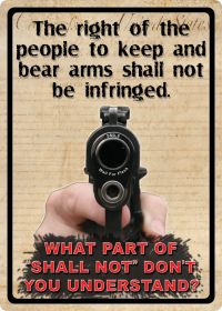 Right to Keep & Bear Arms - 017-1528