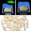 50pcs Maggot Fishing Lure; Luminous Worms Soft Baits 1.6cm/0.6inch - Luminous