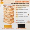 VEVOR Bee Hive 40 Frame Bee Hives Starter Kit, Beeswax Coated Cedar Wood, 2 Deep + 2 Medium Bee Boxes Langstroth Beehive Kit, Transparent Acrylic Wind