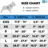 Blue Dog Winter Coat for Small Dogs Waterproof Warm Jacket for Cold Weather Snow Dog Puffer Vest Boys and Girls Adjustable XS Size - Airyvest